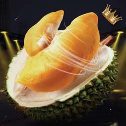 Malaysia Durian Fest 2023 Kuala Lumpur - Durian Buffet Malaysia 2023
